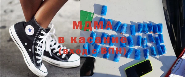 гидра Вязьма