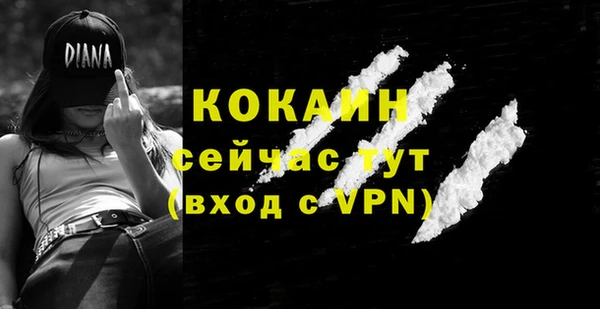 гидра Вязьма
