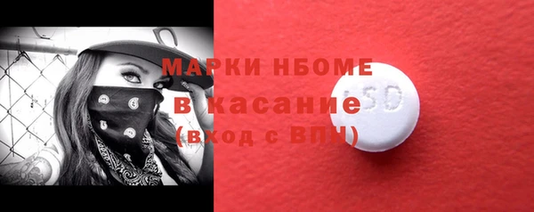 гидра Вязьма