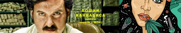 гидра Вязьма