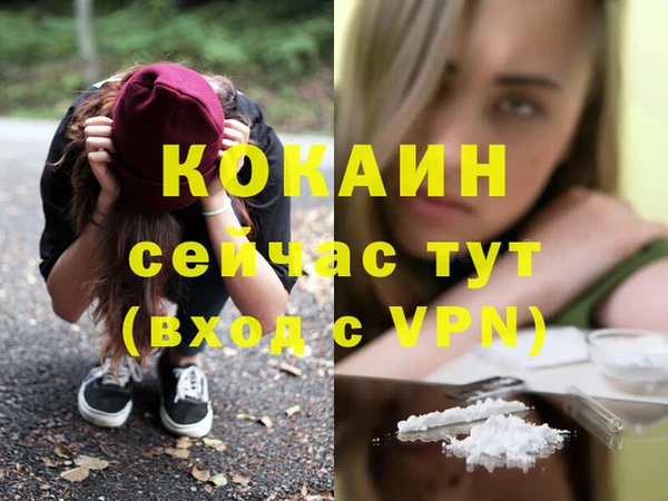 гидра Вязьма