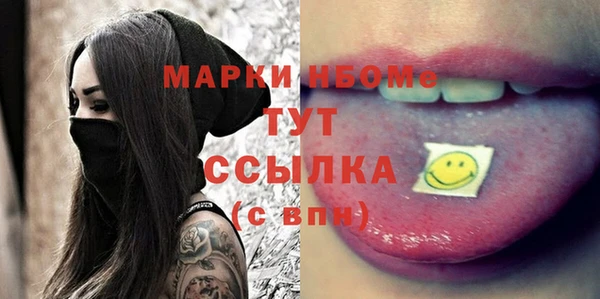 стафф Тында