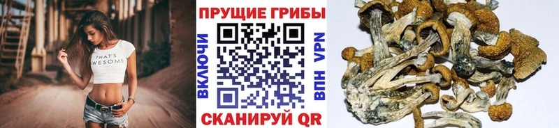 кракен сайт Гулькевичи Галлюциногенные грибы мухоморы